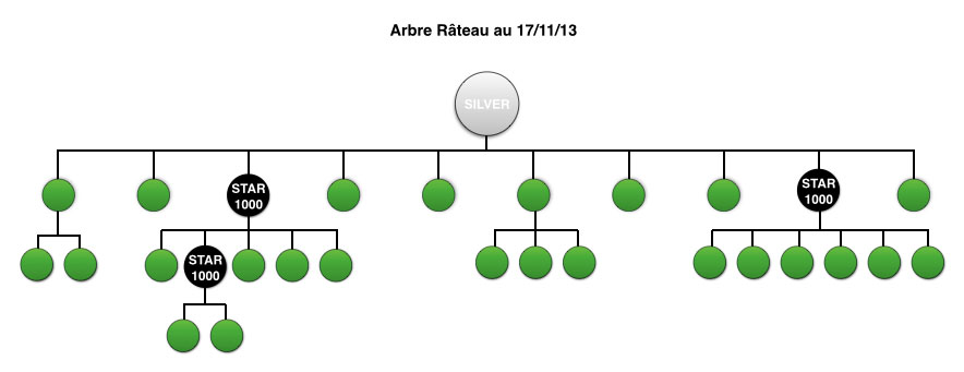 arbre-rateau-171113
